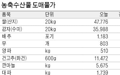 사과 소비 줄어들어…평년보다 가격 19% 하락