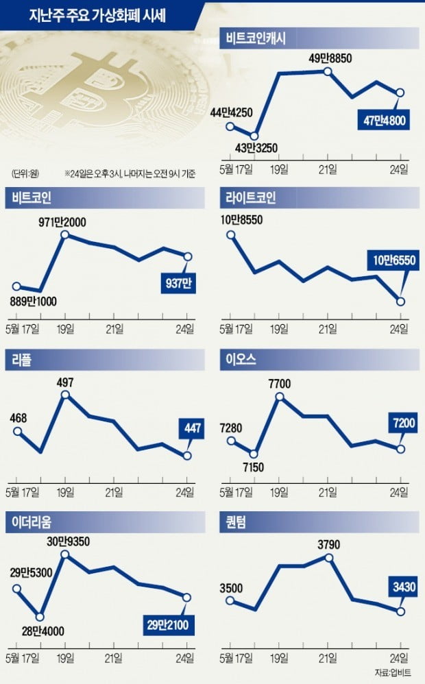 비트코인 '1000만원 벽' 못 넘고 900만원대 횡보