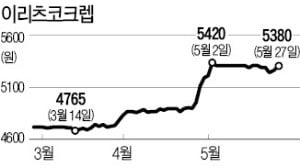 부동산·인프라株, 하락장에서 '신고가 릴레이'