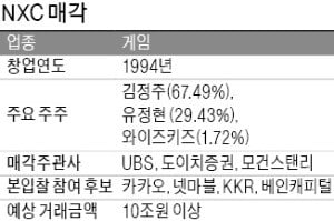 카카오도 넥슨 매각 본입찰 참여