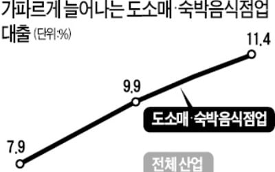 빚내 버티는 도소매·숙박음식점…대출 증가 금융위기 이후 최고