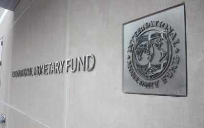 [선한결의 중동은 지금] IMF "사우디 부가세 더 올려야…아직 너무 낮아"