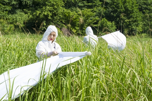 서울시 "야외 활동 때 진드기 조심"…감염병 옮길 수도