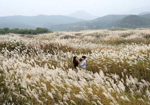 멸종위기 생물 15종 서식 충주 비내섬…주한미군 훈련 어떡하나