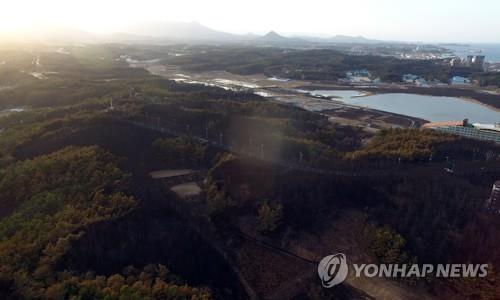 '아까시꽃 폈지만'…산불위험 여전한 강원 동해안 초긴장