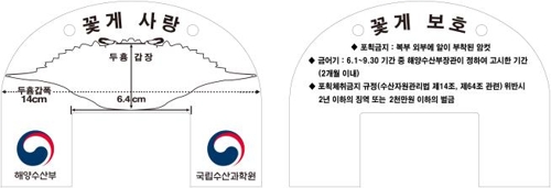 어획금지 기준 6.4㎝ 한눈에…어린 꽃게 측정자 무료 배포