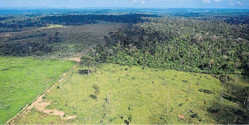 아마존 열대우림 파괴 가속…5월에만 축구장 7천개 면적 사라져