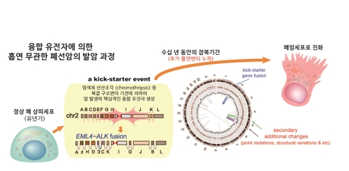 비흡연자 폐암 돌연변이 10대 이전에도 나타난다