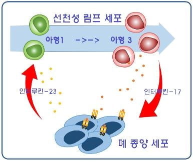 폐암세포 성장과정 밝혀졌다…새로운 치료길 열리나