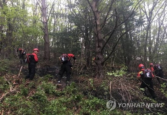 정선 신동읍 산불, 1시간 반만에 진화…산림 0.1㏊ 피해