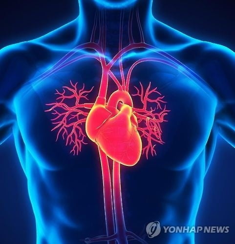 "고지혈증약 복용한 75세 이상 노인, 사망률 44% 감소"