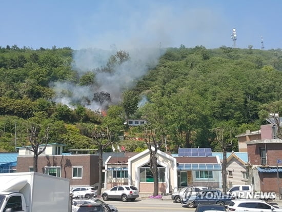 삼척 산불, 1시간 만에 진화 "잔불 정리 중"