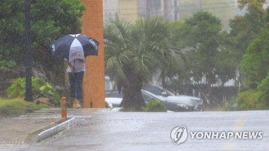 제주공항 140여편 결항·지연…한라산 입산 `전면 통제`