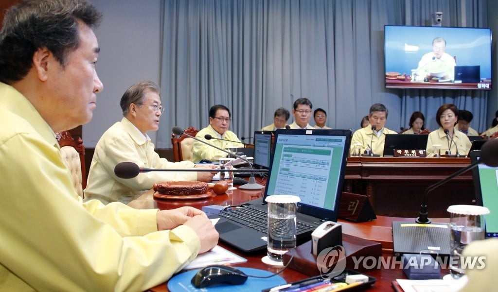 北에 돼지열병 가능성...정부 "남북 접경 통한 유입 대비"