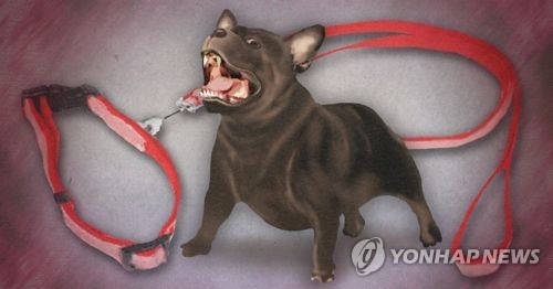 목줄 없는 개에 자전거 '꽈당' 장애…견주 6111만원 물어줘라