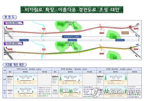 환경청 "멸종위기종 발견 제주 비자림로 공사 중단하라"