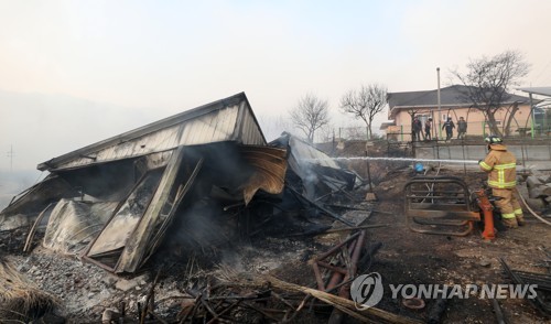 "잡풀태우다 축구장 483개 태워" 인제산불 실화자는 고령의 주민