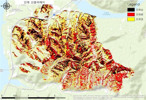 "잡풀태우다 축구장 483개 태워" 인제산불 실화자는 고령의 주민