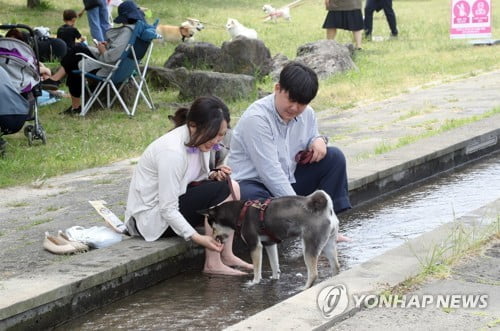 어린이날 연휴 첫날…미세먼지에도 도심 나들이객 '북적'