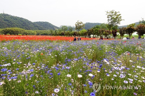 "이른 더위 식힌 비" 주말 전국 이색 행사장에 나들이객 줄이어