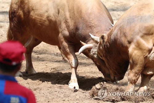 "이른 더위 식힌 비" 주말 전국 이색 행사장에 나들이객 줄이어