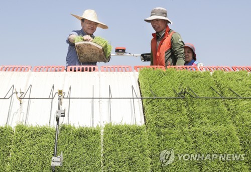 文대통령, 밀짚모자 쓰고 이앙기 몰며 모내기…"올해 대풍 될듯"