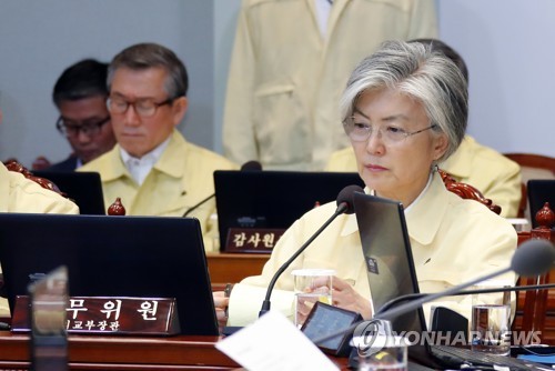 강경화 '유람선 사고' 현장지휘차 오늘 헝가리행