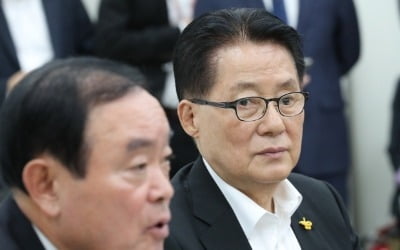 박지원 "나경원, '위화도회군' 결정해야…당내 압력 굉장할 것"