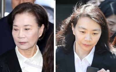 '가사도우미 불법고용' 한진家 조현아에 벌금 1500만원 구형