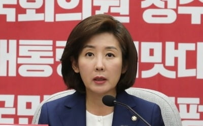 나경원 "개헌 어렵다…대선 출마 안한다"