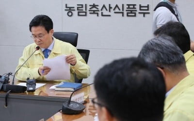 '치사율 100%' 돼지열병 발생…북한 접경 10개 시·군 특별관리지역 지정