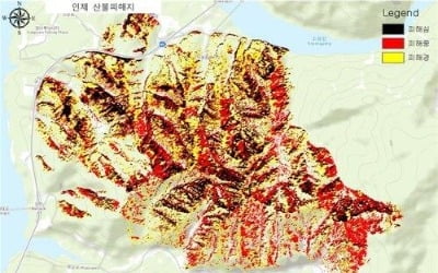 강원 산불 피해면적 2832㏊로 늘어…현장조사 결과