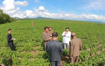 北, 자력갱생으로 식량난 돌파의지…"곡물 심을 새 땅 찾아라"