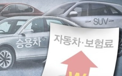 車보험료 인상 일단 '멈칫'…시기 미루고 폭 낮출 듯