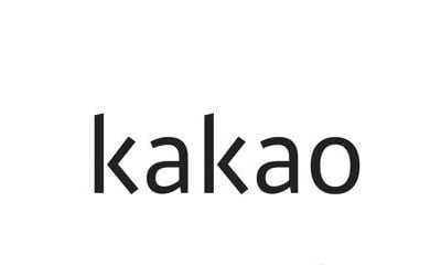 카카오, AI 부문 사내 독립기업으로 개편…"B2B 본격 진출"
