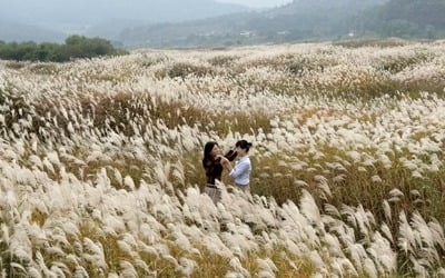 멸종위기 생물 15종 서식 충주 비내섬…주한미군 훈련 어떡하나