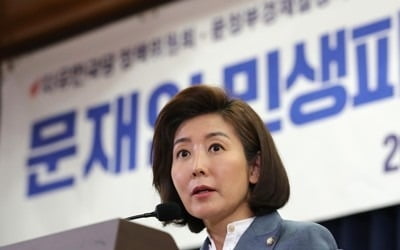 한국당, '文정부 2년' 전방위 공세…"손만 대면 마이너스정권"