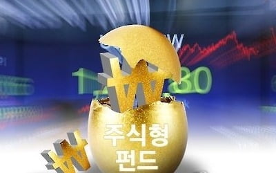 종목장세에 액티브펀드 선전…석달 수익률 인덱스 추월