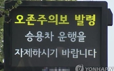 서울 도심 오후 4시 오존주의보…"실외활동 자제"