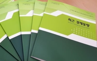 정부, 두달째 "하방리스크 확대…주요 실물지표 부진"