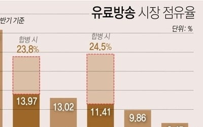 정부 '유료방송 점유율 규제 폐지안'에 IPTV업계 '화색'