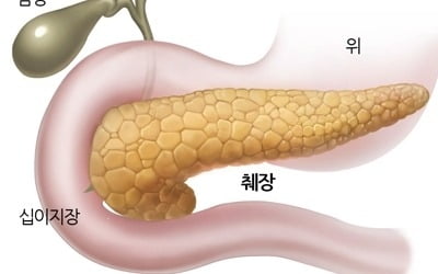 "초음파로 인슐린 분비 촉진 가능"