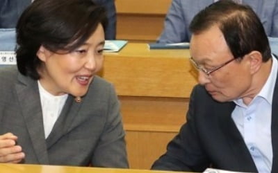 박영선 "'소상공인·자영업 기본법' 조속히 제정돼야"