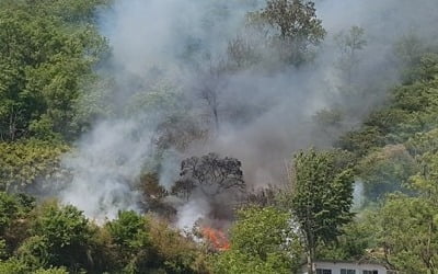 삼척 봉황산서 불…헬기 2대 투입해 1시간 만에 진화