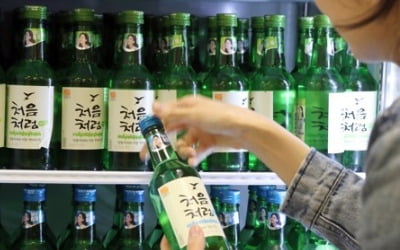 소주 '처음처럼'도 오른다…6월부터 73원 인상