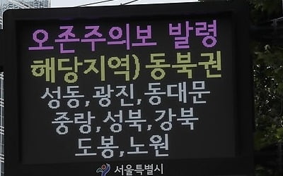 서울 성동·강서 등 15개구에 오존주의보…"실외활동 자제"