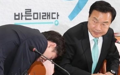 법원 "손학규, 바른미래 지명직 최고위원 임명 정당"