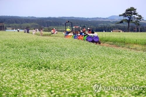 "덥다 더워" 때 이른 폭염에 전국 물놀이장 북적