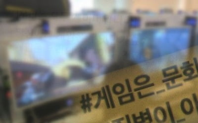 "게임중독 '질병' 되면 낙인 우려…과몰입 청소년, 금방 돌아와"