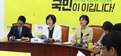 정의당, 오늘 새 원내대표 선출…윤소하 연임 유력